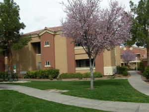 apts nevada: housing