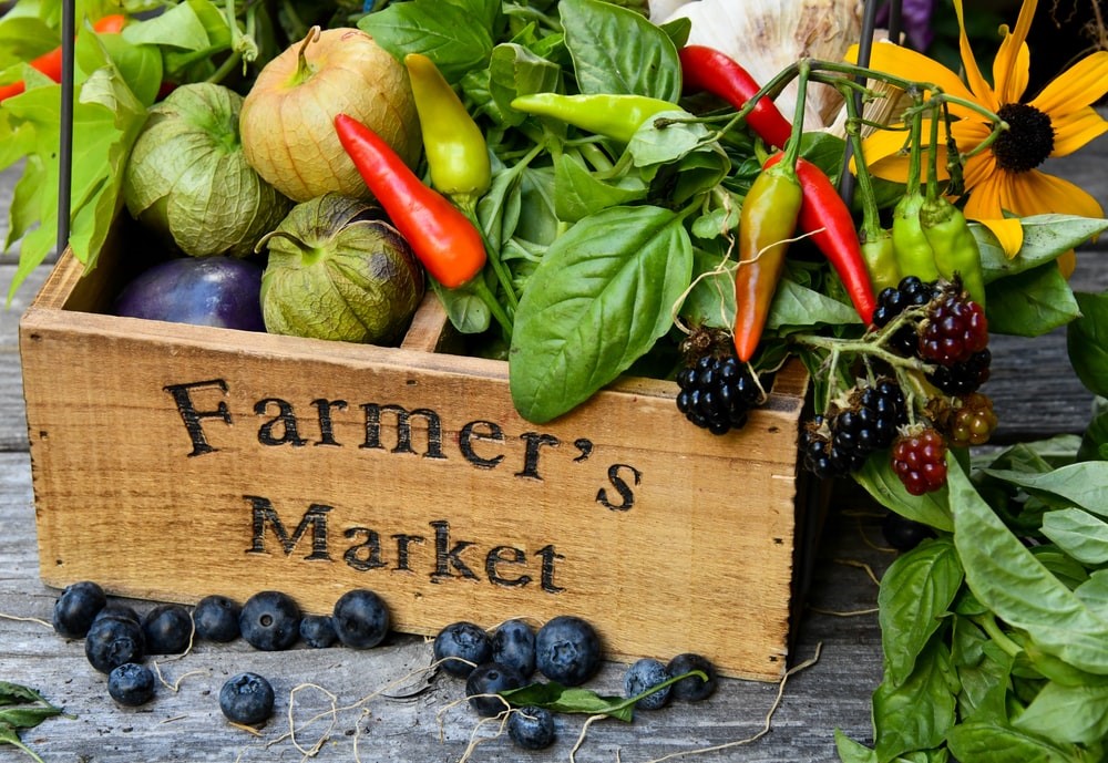 11 Farmers Markets To Visit Around Reno Apts Nevada